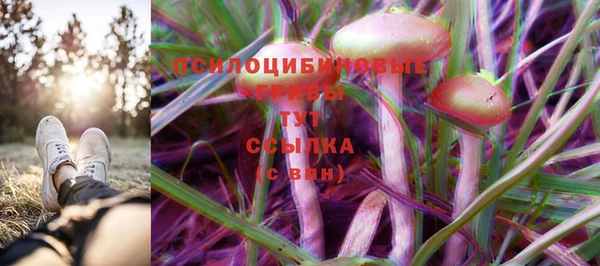 прущий лед Абаза