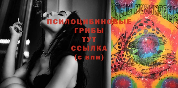 прущий лед Абаза