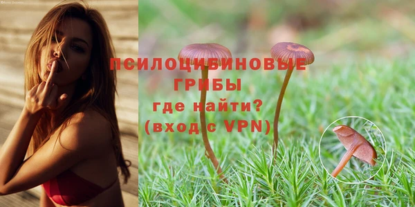 прущий лед Абаза
